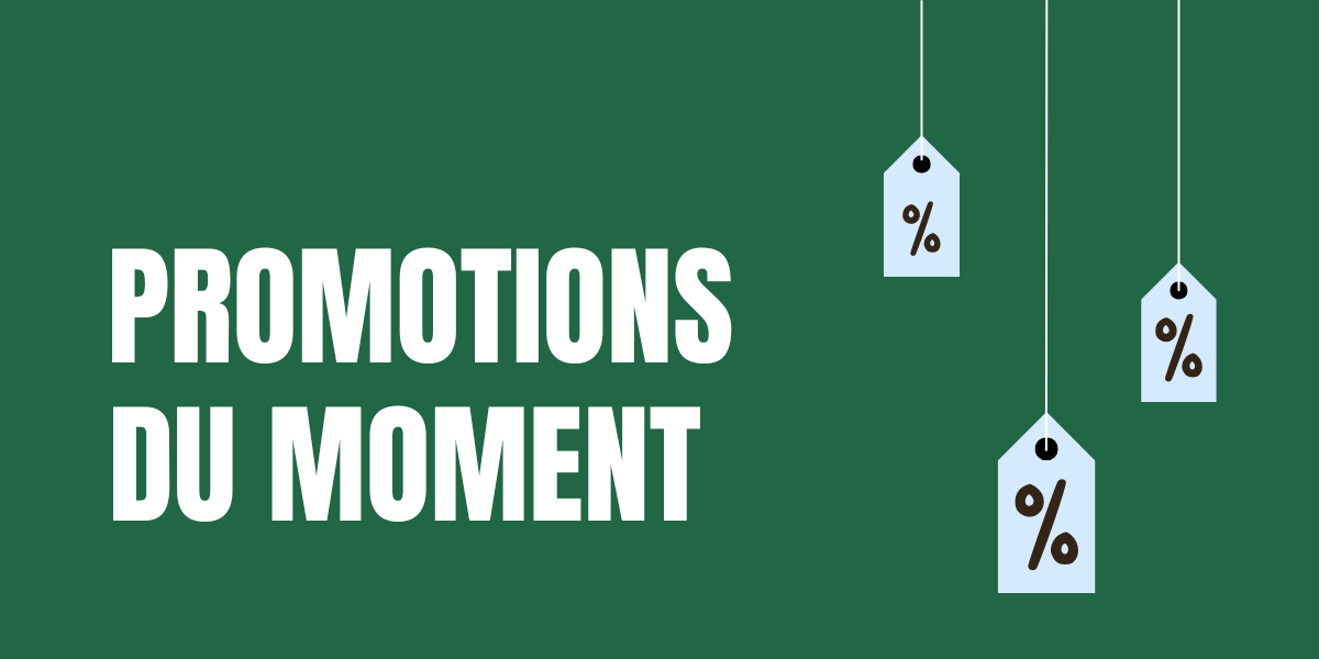 Accueil sans titre (1200 x 600 px) (2)