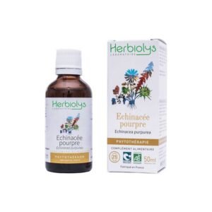 echinacée pourpre bio teinture mère 50ml herbiolys