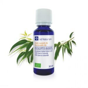 eucalyptus radié bio 30ml