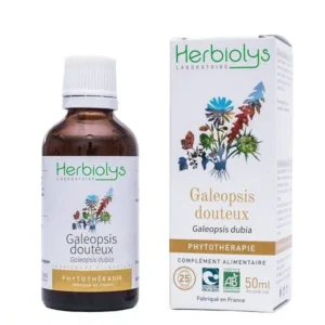 galeopsis douteux bio teinture mère 50 ml herbiolys