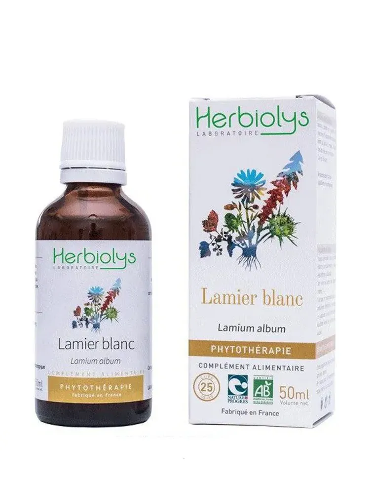 lamier blanc (ortie blanche) bio teinture mère 50 ml herbiolys lamier blanc (ortie blanche) bio teinture mère 50 ml herbiolys