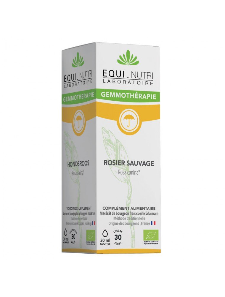 rosier sauvage macérât de jeune pousse bio 30 ml equi nutri rosier sauvage macérât de jeune pousse bio 30 ml equi nutri