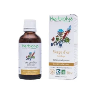 solidage verge d'or bio teinture mère 50 ml herbiolys