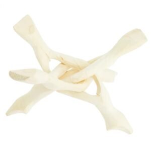 support pour coquille d'ormeau tierra zen