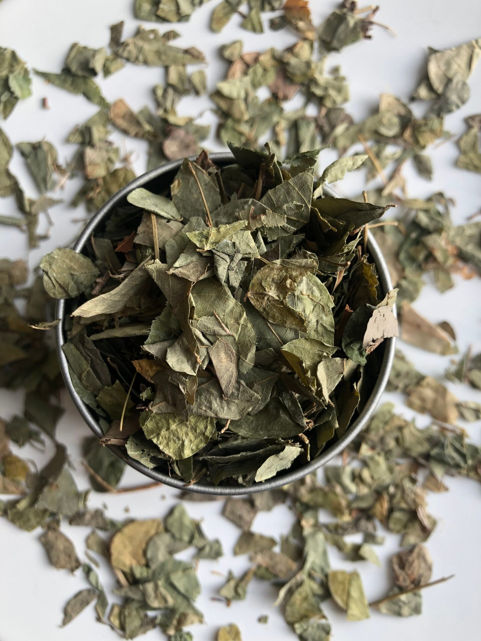 desmodium 50g feuilles coupées desmodium adscendens desmodium 50g feuilles coupées desmodium adscendens