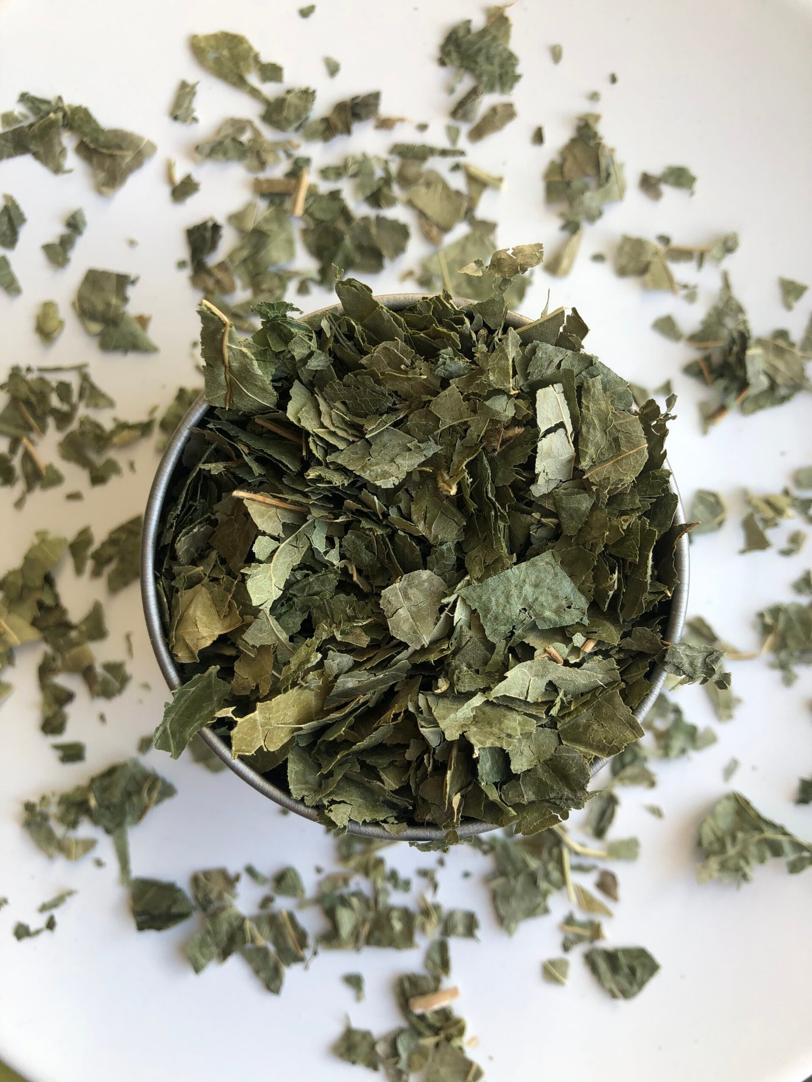 frêne bio 100g feuilles coupées fraxinus excelsior frêne bio 100g feuilles coupées fraxinus excelsior