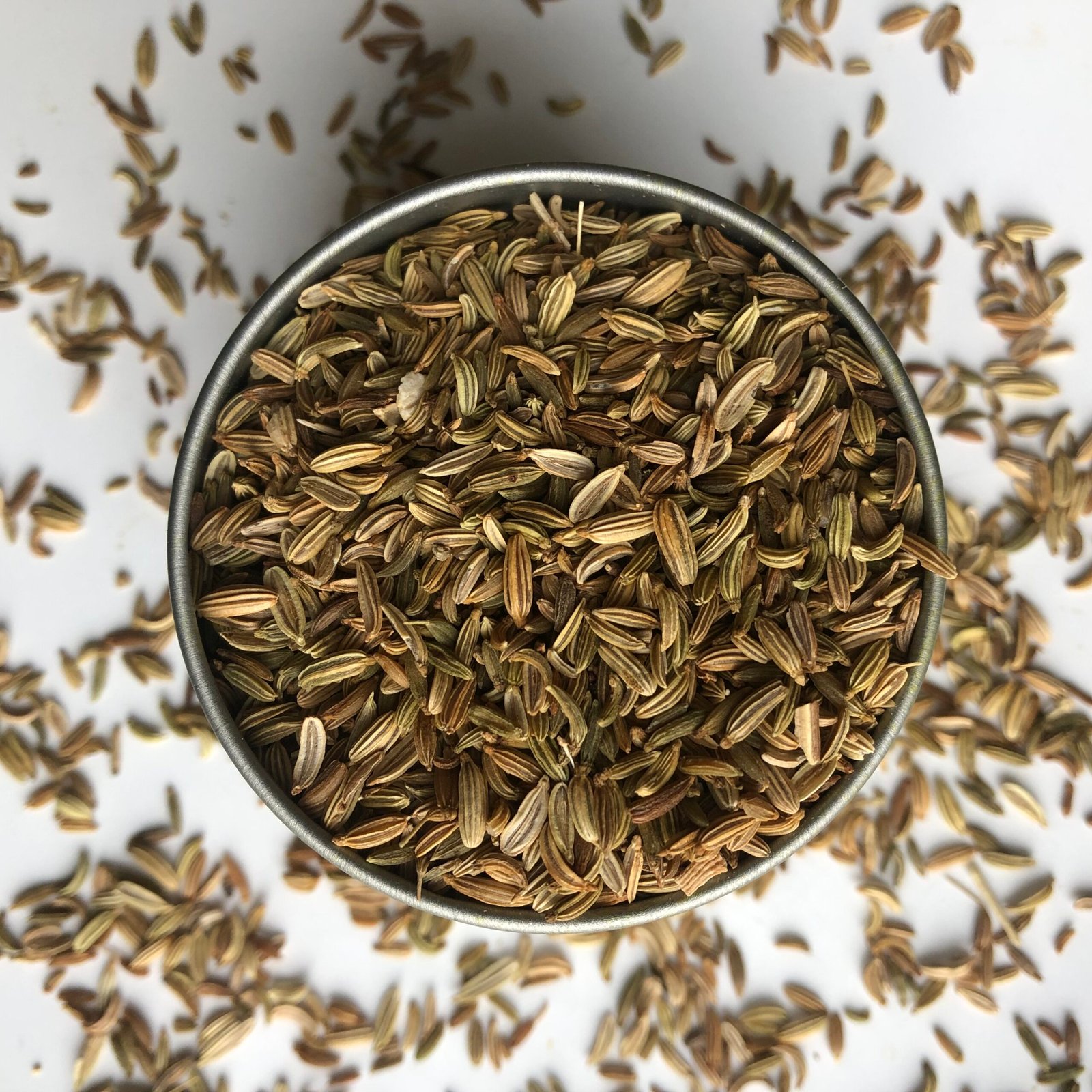 fenouil bio 100g graines foeniculum dulce fenouil bio 100g graines foeniculum dulce