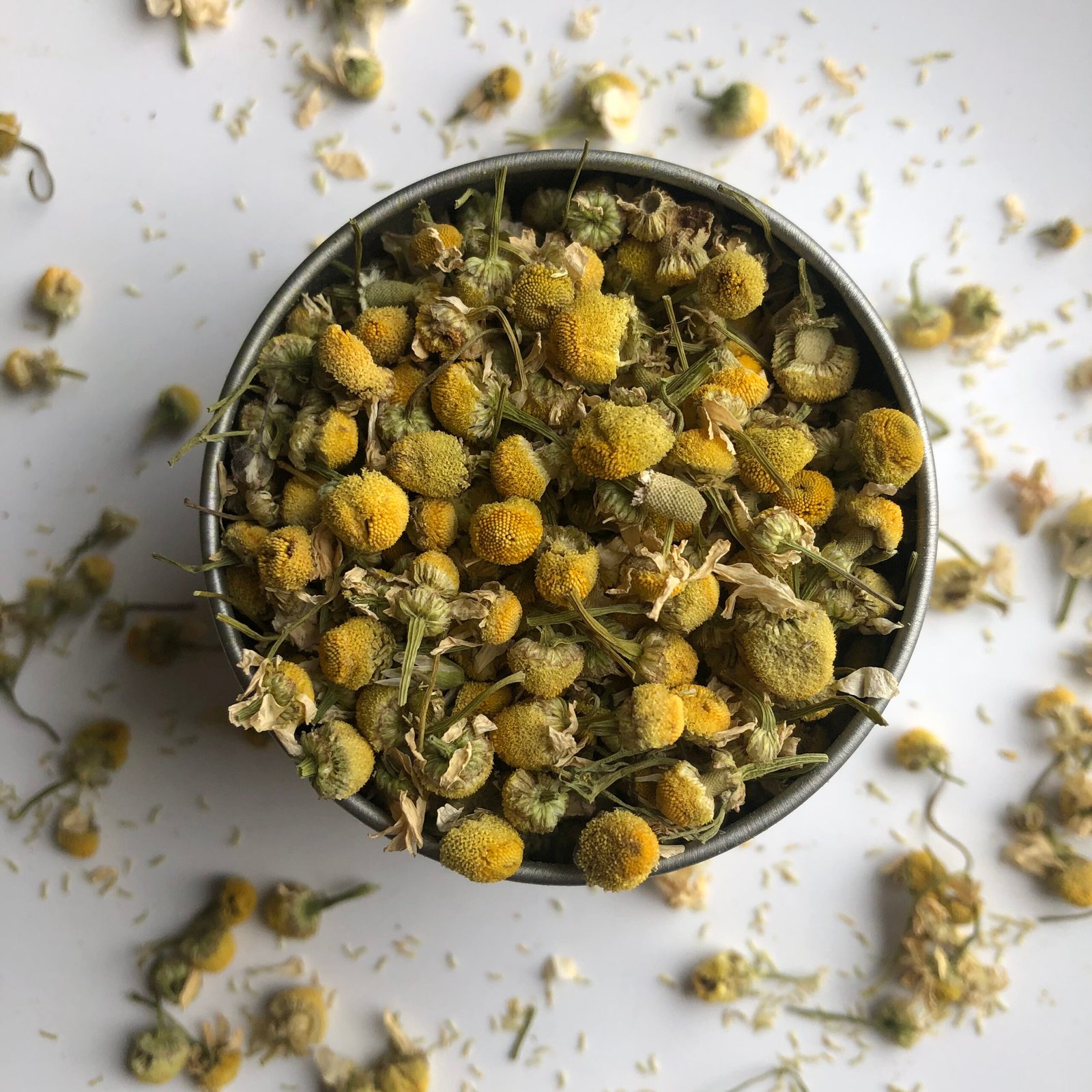 camomille allemande (matricaire) bio 100g fleurs matricaria chamomilla camomille allemande (matricaire) bio 100g fleurs matricaria chamomilla