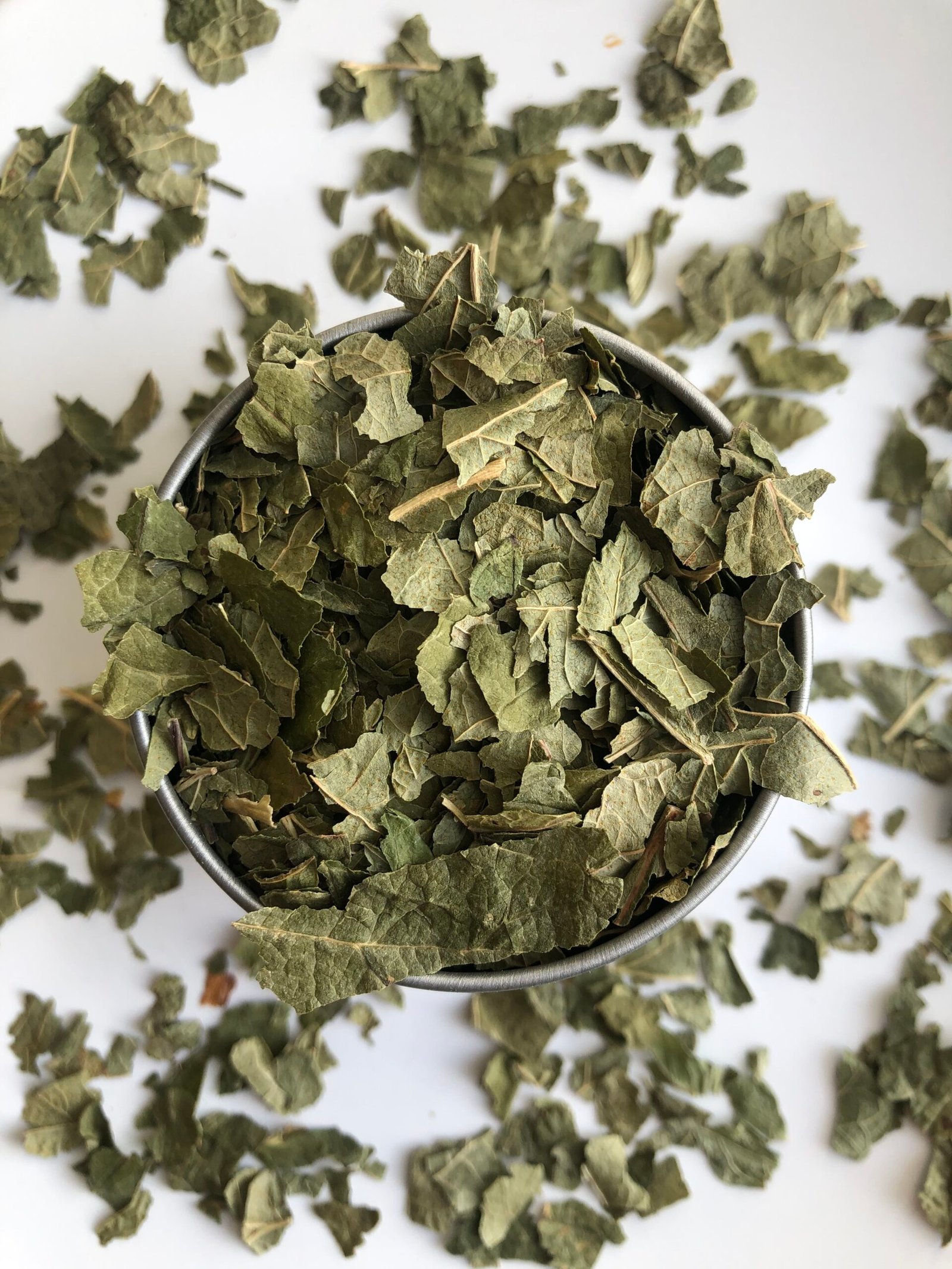 cassis bio 100g feuilles brisures ribes nigrum cassis bio 100g feuilles brisures ribes nigrum