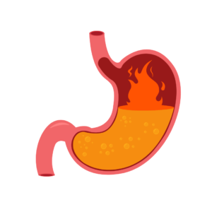 Acidité Gastrique Enceinte