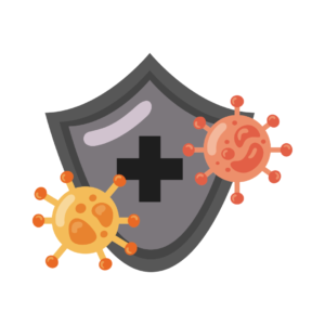 Système Immunitaire