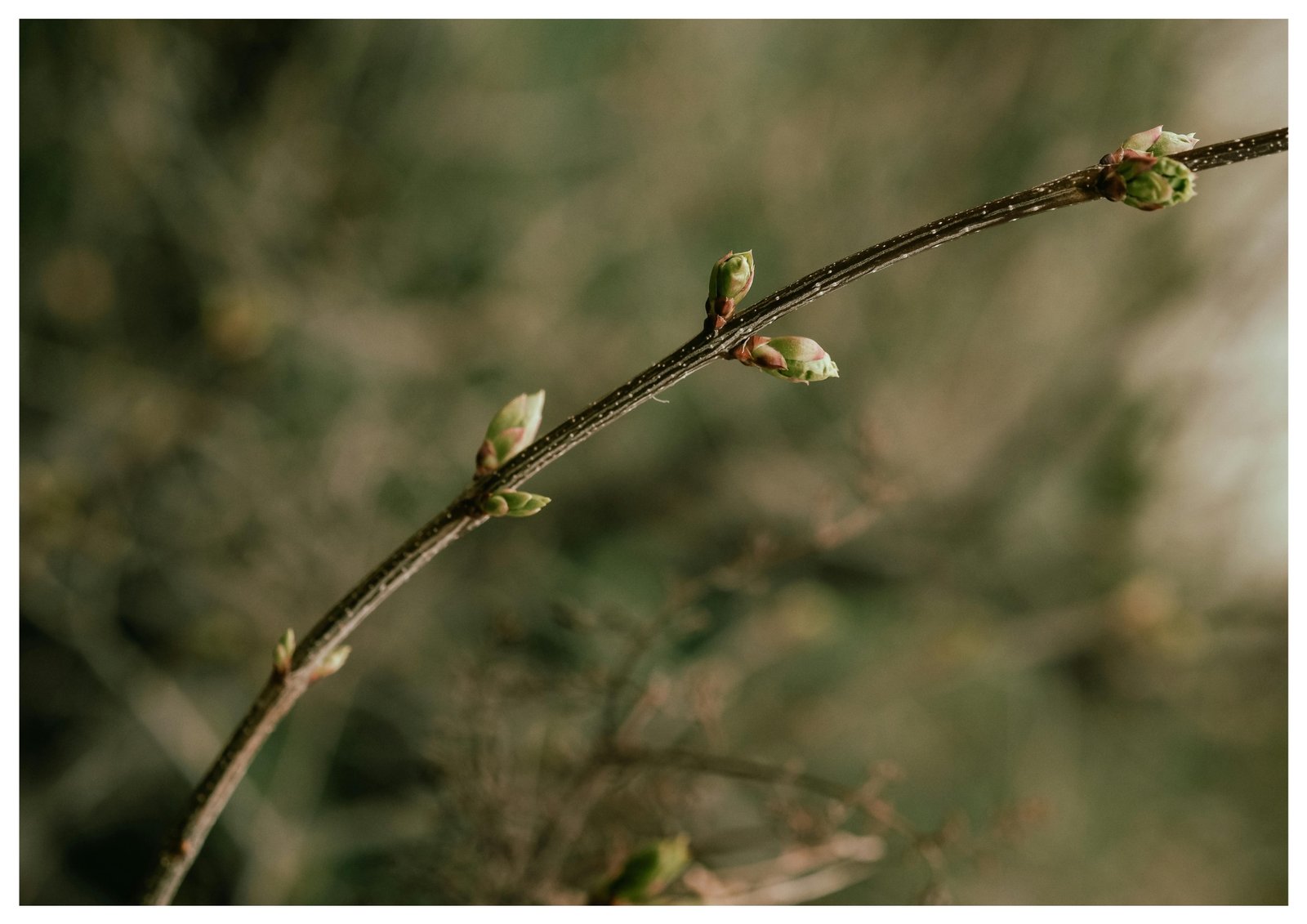 Blog sans titre (a4 (paysage))